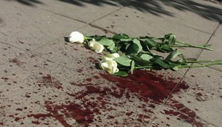 Инициатива на Европейската мрежа на службите на пътна полиция TISPOL