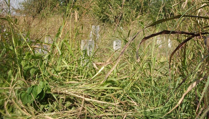 За това ли се плащат такси?