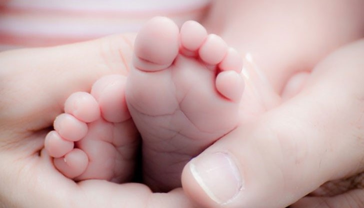 В русенския комплекс седмицата стартира днес, 25 септември В русенския комплекс седмицата стартира днес, 25 септември