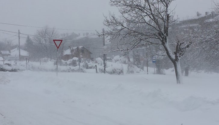 Есенния цъфтеж на дърветата е поличба за кратка и дъждовна есен, и люта и продължителна зима, твърдят стари русенци