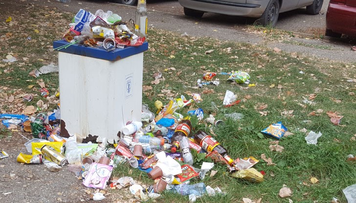 Ако един ден имам честта да бъда майка, ще пропусна високо интелектуалната компания на подобен тип индивиди!