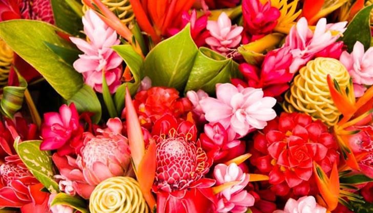 Вижте кои именници празнуват на днешния ден, повече от 10 красиви български имена Вижте кои именници празнуват на днешния ден, повече от 10 красиви български имена