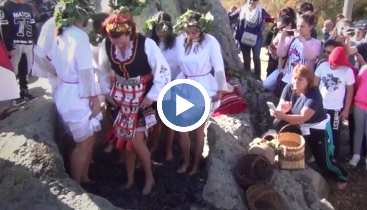 Древен тракийски ритуал по мачкане на грозде за вино пресъздадоха при местността Шарапаните