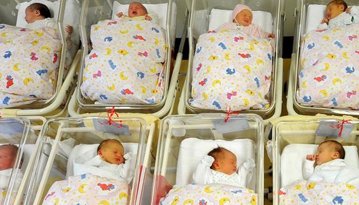Всяко пето бебе, родено в Германия през 2015 година, е имало майка чужденка