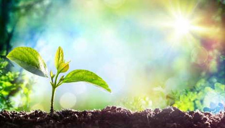 Един голям източен владетел сънувал страшен сън... Един голям източен владетел сънувал страшен сън...