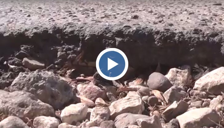 Хората недоволстват, защото продължават да си разбиват колите