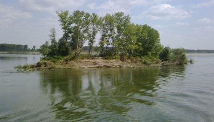 Остров Добрина, където са открити оцелелите бежанци Остров Добрина, където са открити оцелелите бежанци