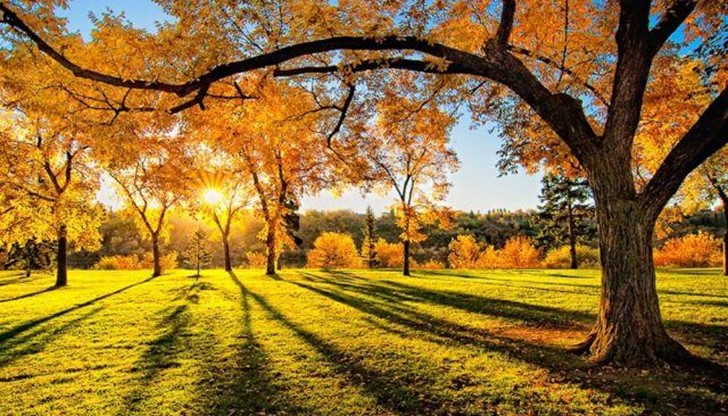 Дневните температури ще се повишат още Дневните температури ще се повишат още