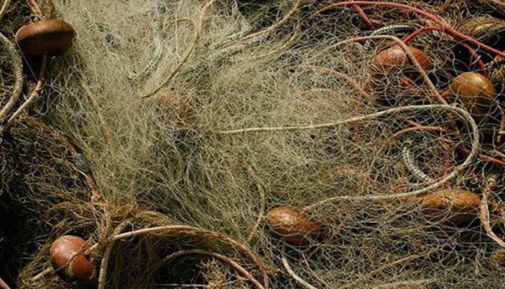 Намерена е била и около 60 килограма маломерна риба от видовете шаран и каракуда