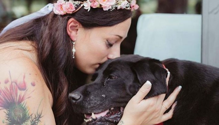 Чарли има тумор в мозъка, а седмица преди голямото събитие, кучето се влошава дотам, че припадал около 5 пъти