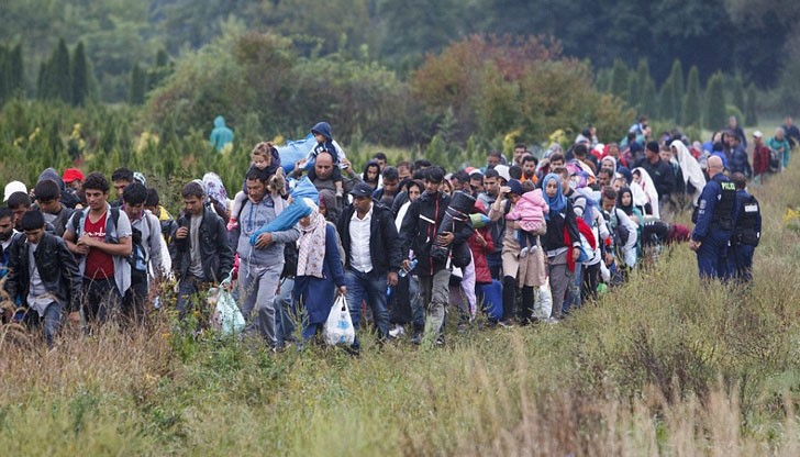 За пет дни 1044 мигранти са се опитали нелегално да преминат сръбската държавна граница