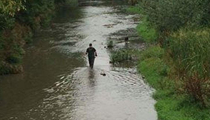 Пожарникар спасява обречено куче от водите на река Струма