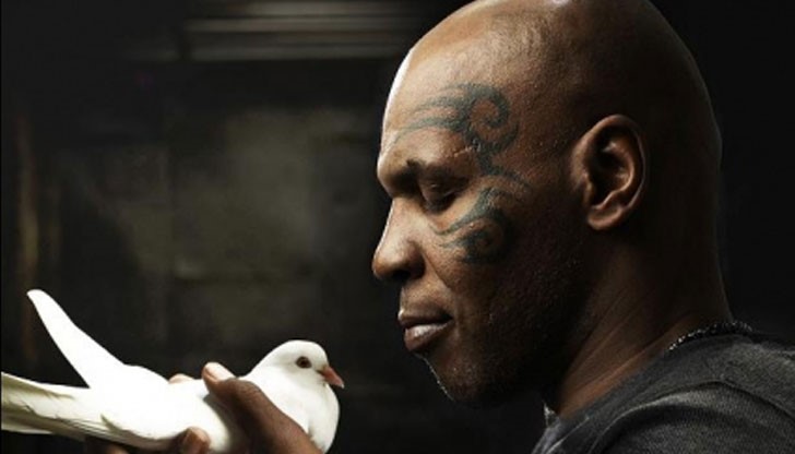 Нико Тупарев нито потвърди, нито отрече новината... Нико Тупарев нито потвърди, нито отрече новината...