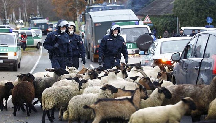 Четирима полицаи бяха принудени да се преквалифицират в овчари