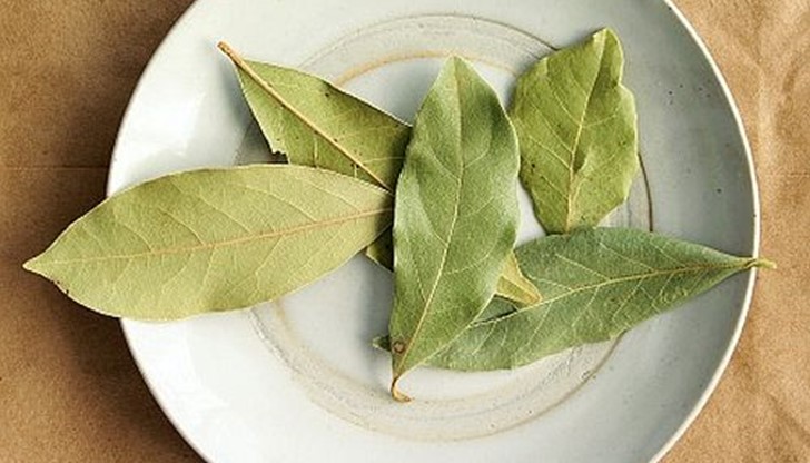 Малките листенца са силен стимулатор на апетита
