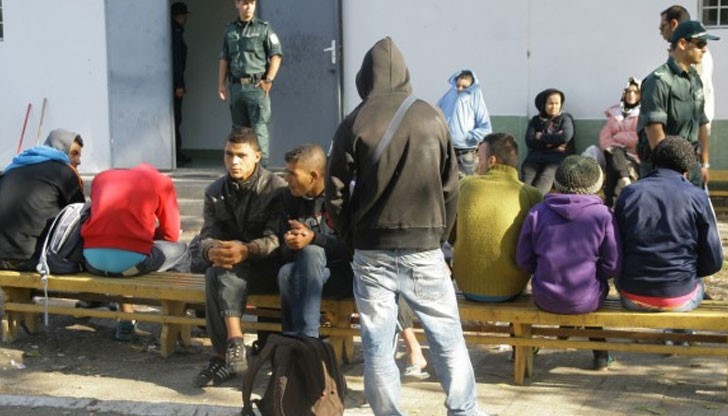 В дългосрочен план бежанците носят ползи за социалните системи на страните от Европейския съюз