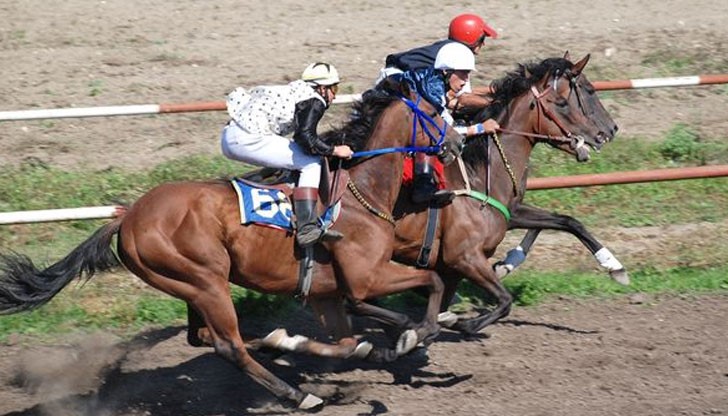 Да раздвижим умовете в неделния следобед
