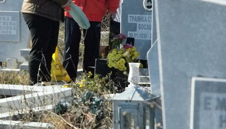 Глава на одрана котка била оставена върху счупен каменен кръст