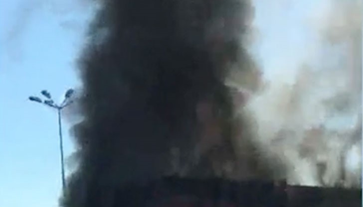 Произшествието е възникнало, заради техническа неизправност в спирачната система на автомобила Произшествието е възникнало, заради техническа неизправност в спирачната система на автомобила