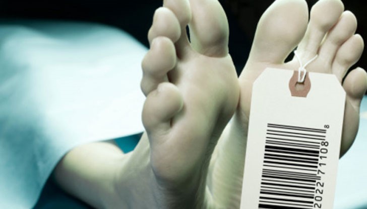 В Сливен никой не помни житейска история като на Илия и семейството му В Сливен никой не помни житейска история като на Илия и семейството му