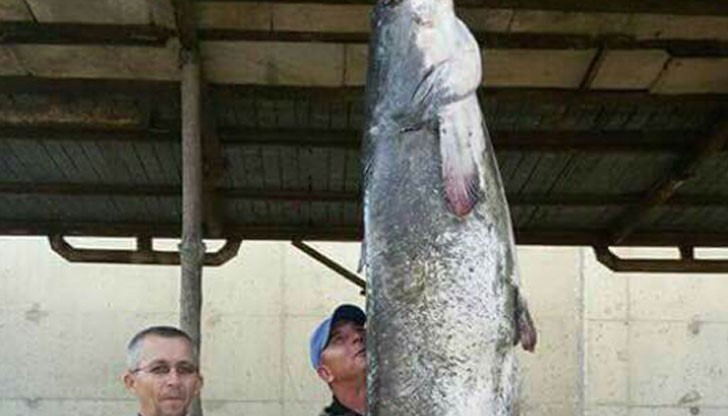 Гордите риболовци побързаха да се похвалят с улова във Фейсбук