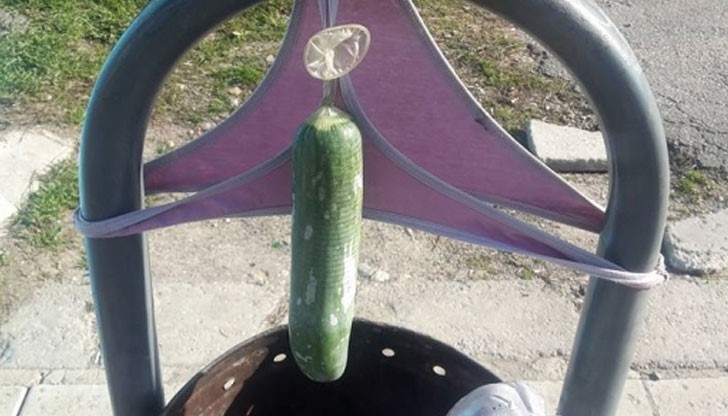 Боклукчийско кошче осъмна с нетрадиционна униформа!