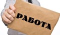 Работодатели дават 7000 лева заплата