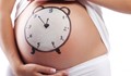 До колко дни жените могат да забременеят след секс?