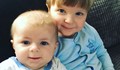 Стафордширски бултериер разкъса до смърт 4-месечно бебе