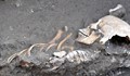 Тракторист откри човешки скелет, докато оре