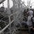 В Солун избухна бежански бунт заради катастрофа с жертви