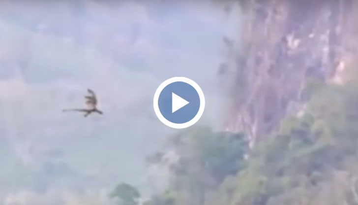 Мнозина счетоха това за доказателство, че такова митично създание съществува