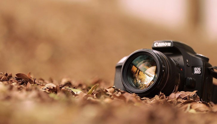 Става въпрос за работни места, в които не се налага да си взаимодействате с колеги, клиенти и шефове или това е сведено до минимум Става въпрос за работни места, в които не се налага да си взаимодействате с колеги, клиенти и шефове или това е сведено до минимум