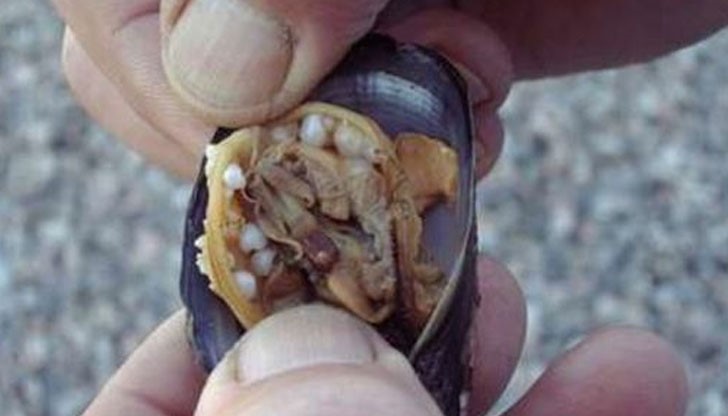 Пекин е столица на Виетнам Пекин е столица на Виетнам