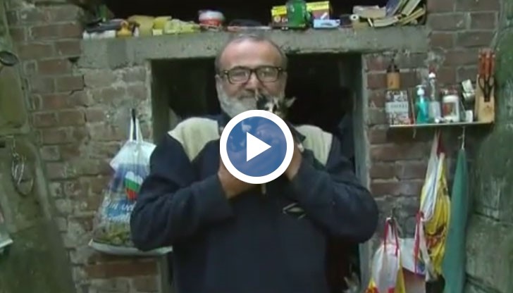 Денят им минава в търсене на храна и желязо