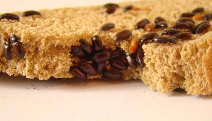 Плащате 50 лева за 100 броя от вълшебните "буболечки" и лекувате всичките си болежки Плащате 50 лева за 100 броя от вълшебните "буболечки" и лекувате всичките си болежки