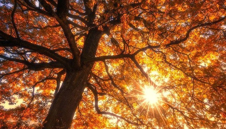 В четвъртък температурите ще се понижат и ще вали в цялата страна