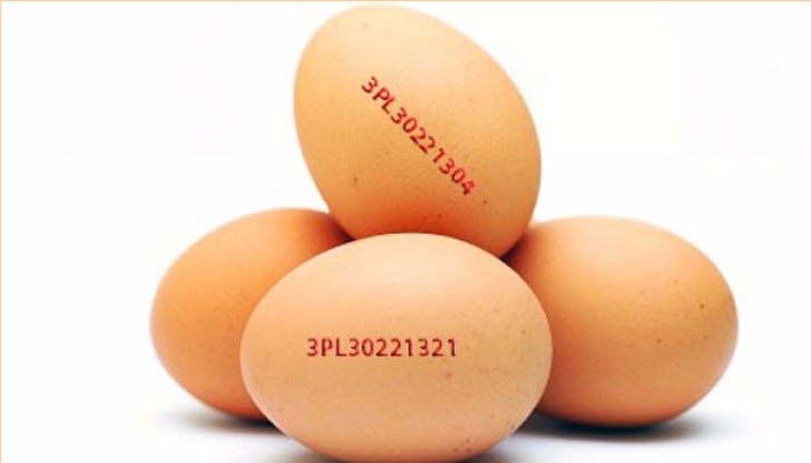 Потребителите, закупили яйца с печат 3PL30221304 и печат 3PL30221321 (номерата на фермите) да не ги консумират