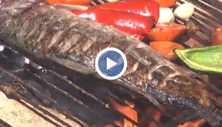 Фестивалът е продължение на миналогодишното събитие „Дунавски вкусове“