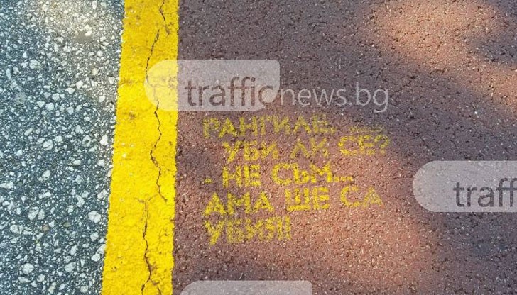 Култов надпис на велоалея в Пловдив озадачи пешеходци!