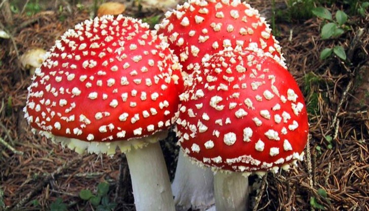 Лекари се борят за живота й