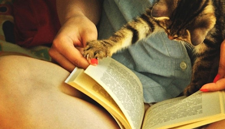 А ако се чувствате самотен - прелистете “Малкият принц”