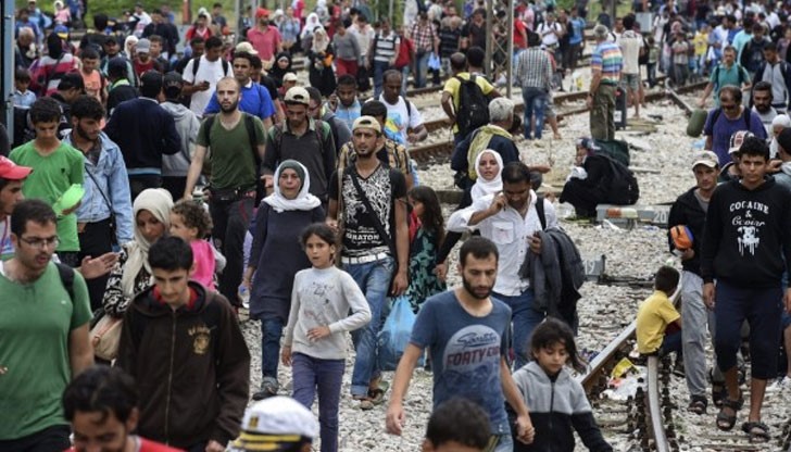 Сирийски мигрант с 24 деца не е работил, откакто е в Германия