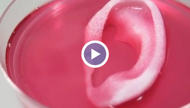 В близките 2 десетилетия технологиите ще позволят на медицината да създава сложни човешки органи като бъбреци, бял дроб и сърце