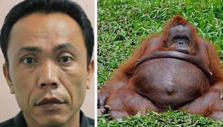 Мъжът е незабавно арестуван, но "белята" вече е налице