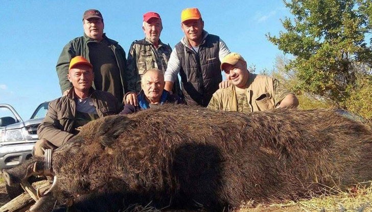 Цели 4 години огромното диво прасе се измъквало от ловджиите
