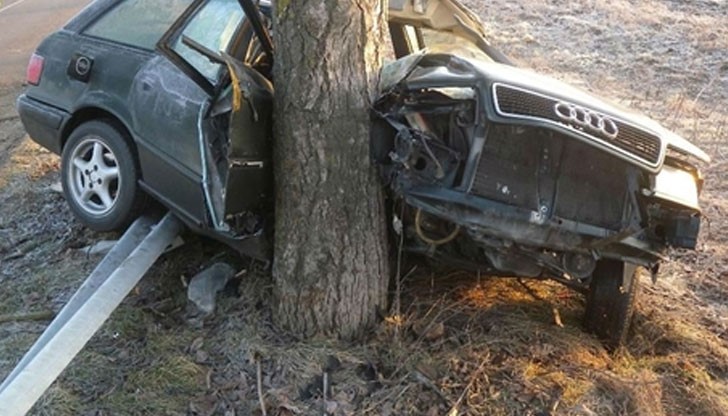 28-годишен шофьор катастрофира в дърво, уби себе си и спътника си / Снимката е илюстративна