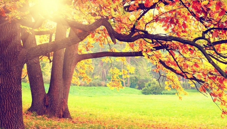 Човек спи най-добре през есента заради по-хладните температури Човек спи най-добре през есента заради по-хладните температури