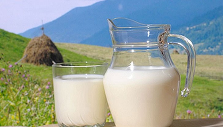 Ще научите как прясното мляко уврежда костите и цялостното здраве по множество рядко споменавани начини