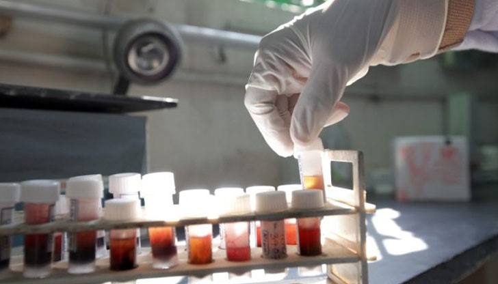 Веществото, което ще спаси милиони болни, се намира в хвойново растение Веществото, което ще спаси милиони болни, се намира в хвойново растение